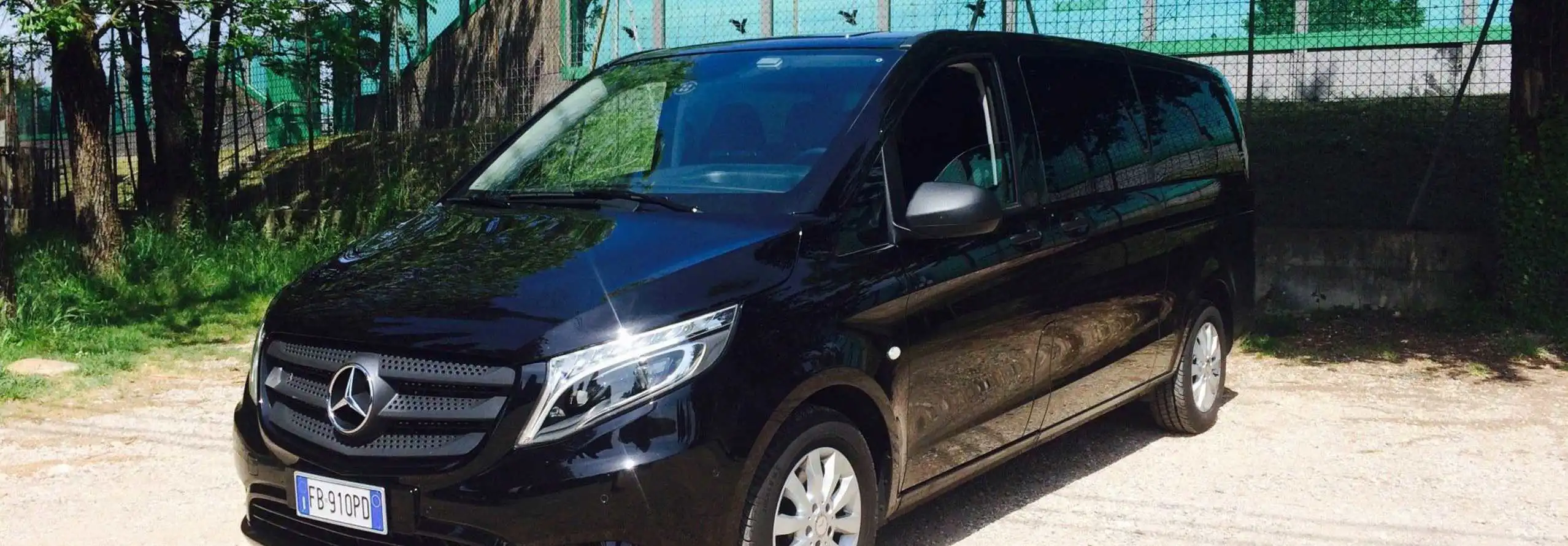Minivan 9 posti con conducente